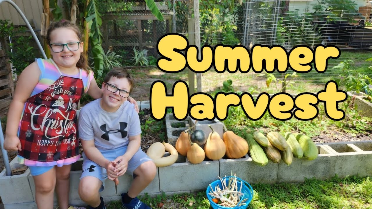 Summer Harvest!