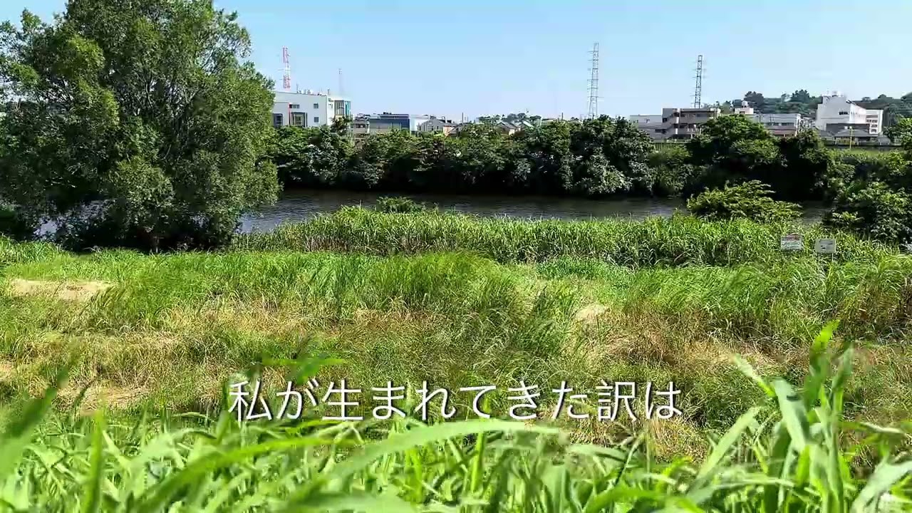 さだまさし　命の理由　　　　cover  浜風　#さだまさし#命の理由