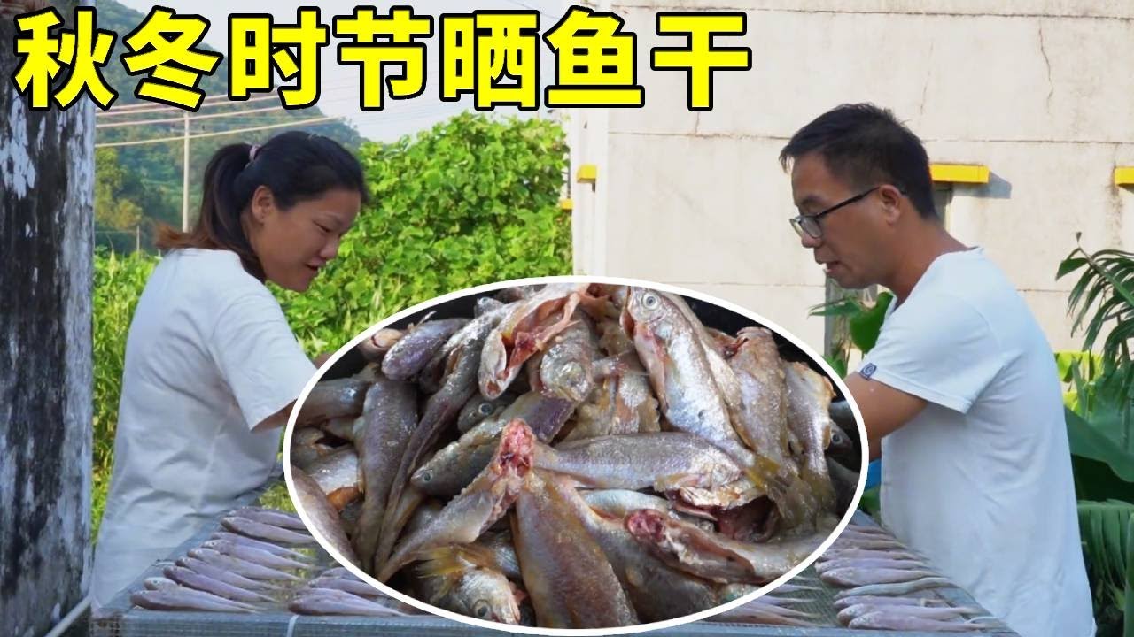 出海捕魚收穫還不錯，正好拿回家曬魚乾，鹹香帶點甜是記憶中的味道【漁小仙】