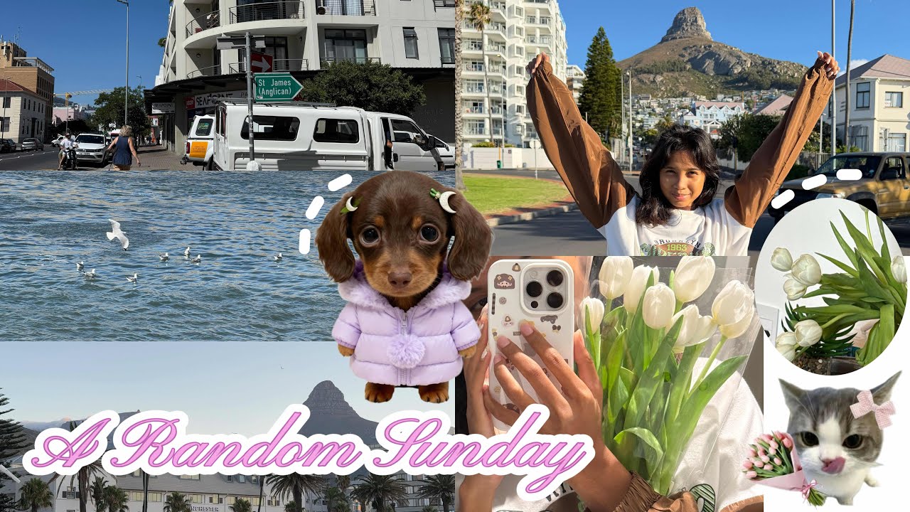 #2 Random sunday in Seapoint CAPE TOWN, AFRICA! (low effort E-Vlog) 🌊🫧🌳🌬️🤍🌷