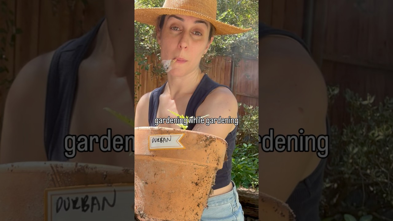 Can Durban Poison Survive This Tiny Pot? #ILGM