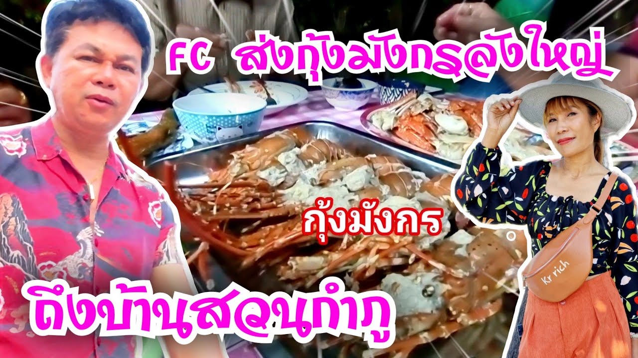 กุ้งมังกรลังใหญ่ถึงบ้านสวนกำภูแล้ว#บ้านสวนกำภูEP667