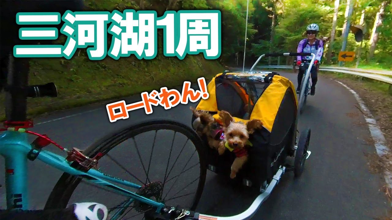 三河湖一周！妻とわんこといっしょ！カートとわんこで30kgを引くライド！