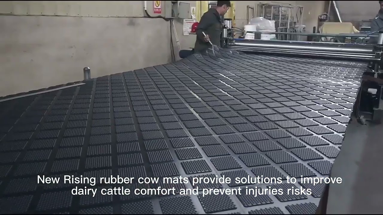 Rolled up Rubber Cow Floor Mats