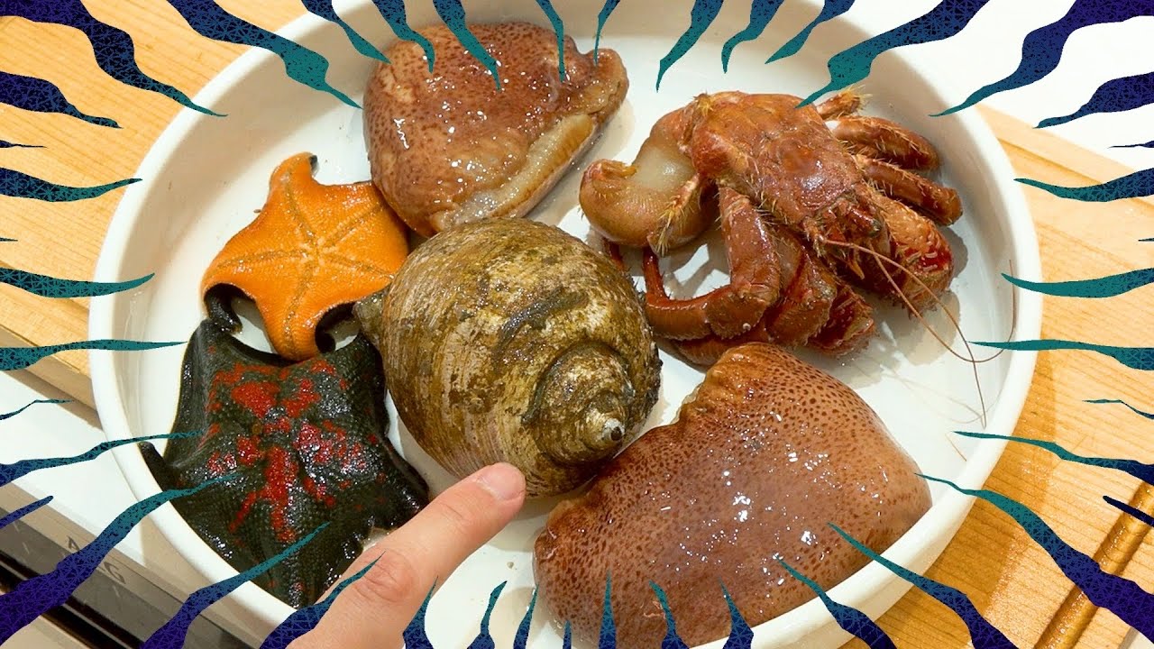 Съедобно? Морепродукт за 500 йен – Вкус бешеный!
