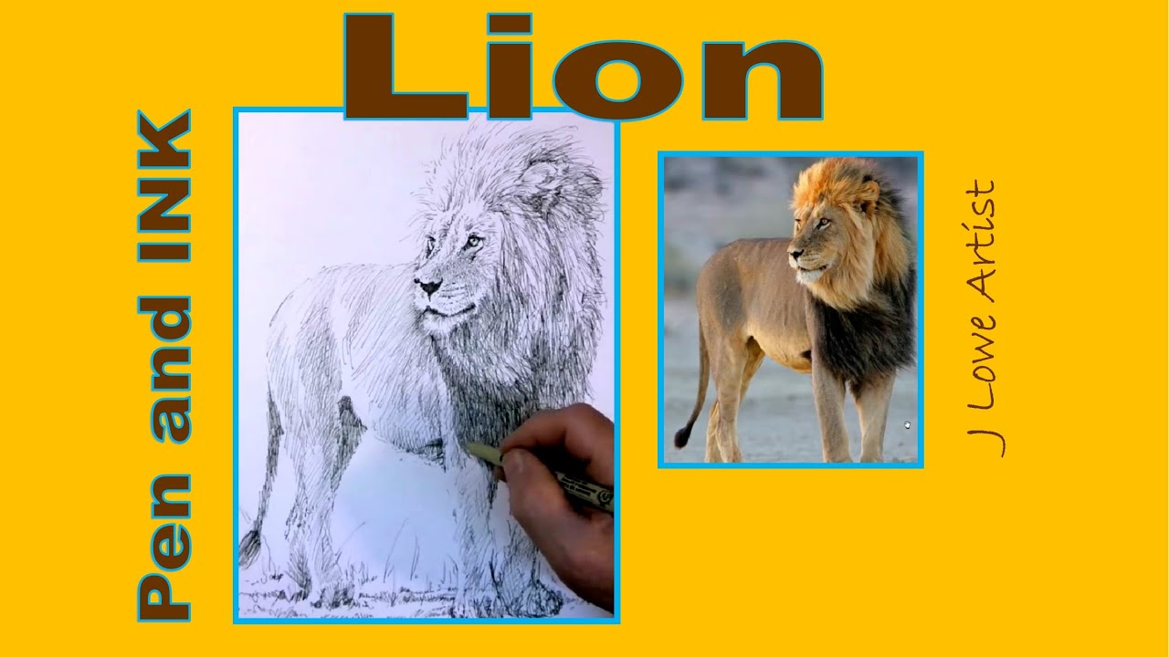 Pen and Ink Drawing Tutorial of Animals