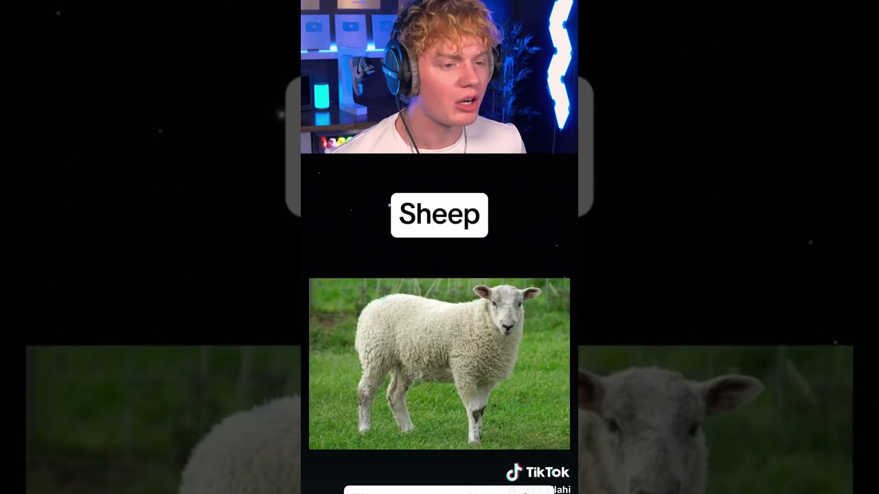 Hybrid Animals You Didn&rsquo;t Know Existed! 🤯