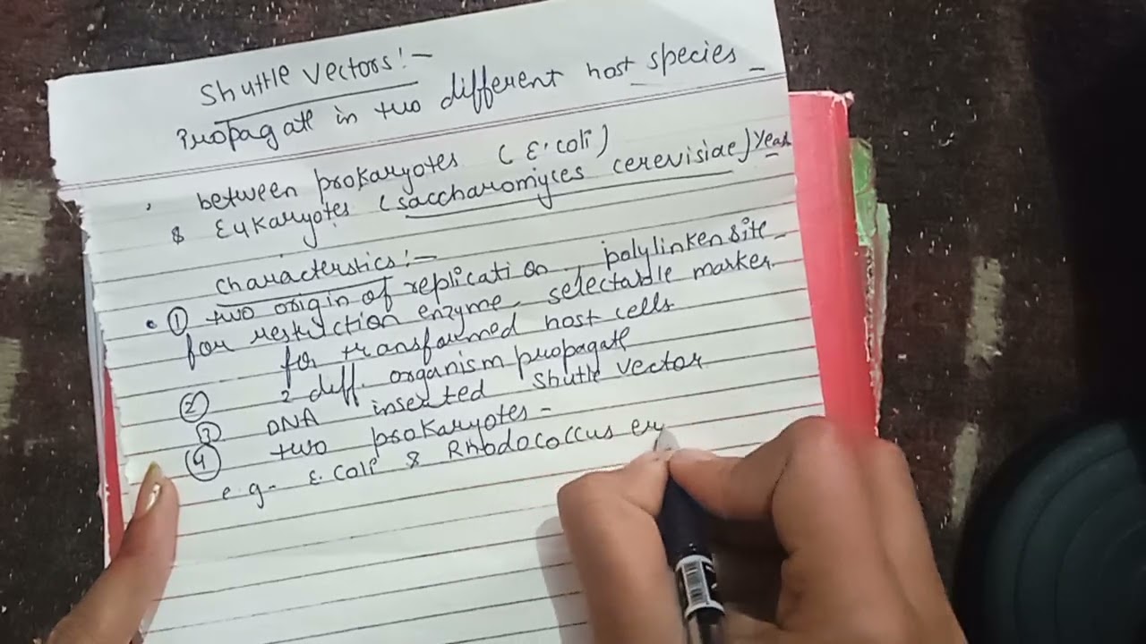 shuttle vector defination, characters, examples ,diagram,