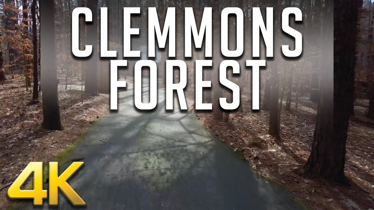 Clemmons Forest USA in 4K