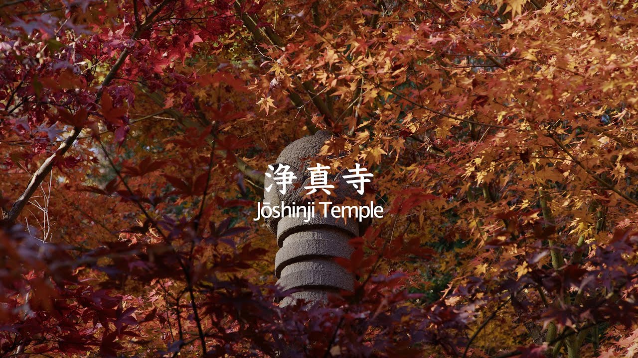 Autumn Leaves - Joshinji Temple - Tokyo - 浄真寺
