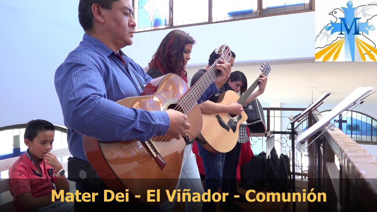 El Viñador - Mater Dei - Canto Comunión para misa litúrgico