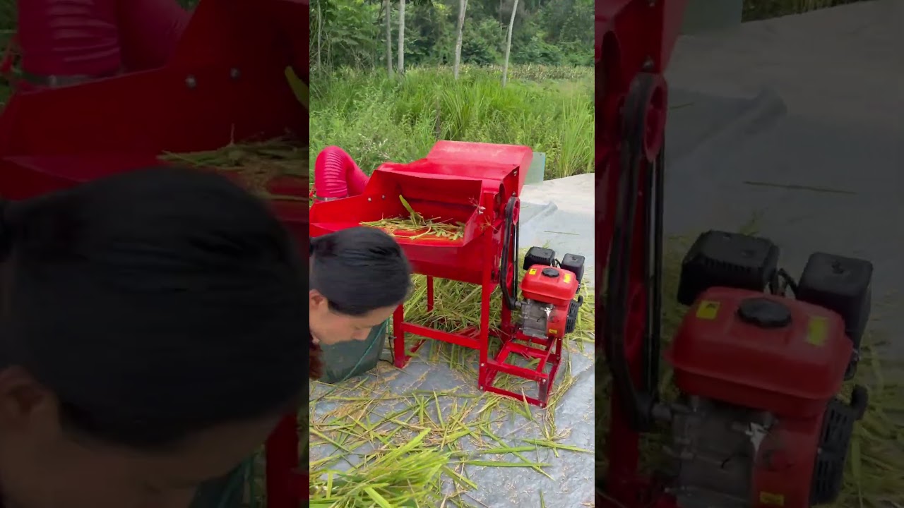 Mini Paddy Thresher Manufacturer Grain For Sorghum  Rice
