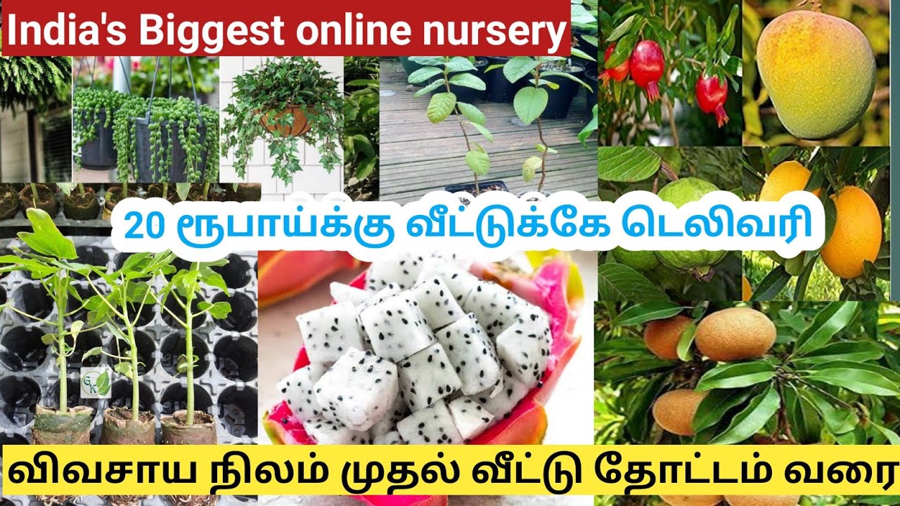 இந்தியாவில் மிகப்பெரிய Online நர்சரி | விவசாயம் முதல் வீட்டு தோட்டம் வரை | Biggest online nursery