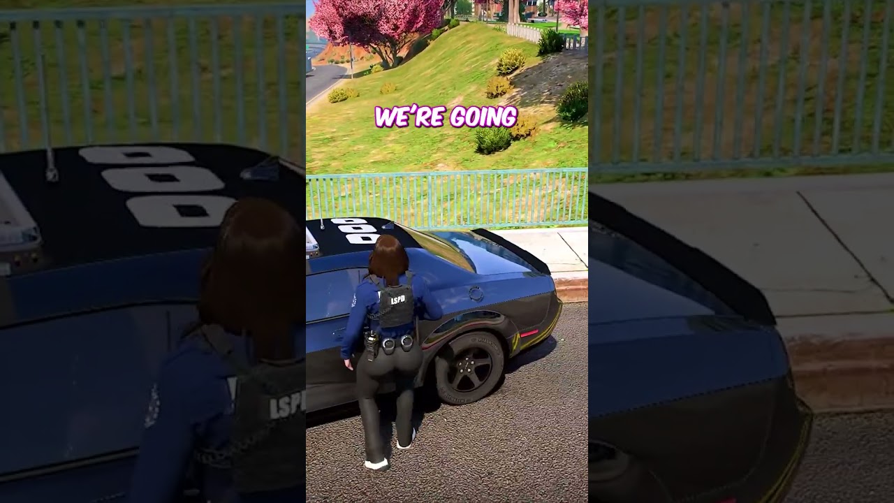 i pulled him over as a fake cop