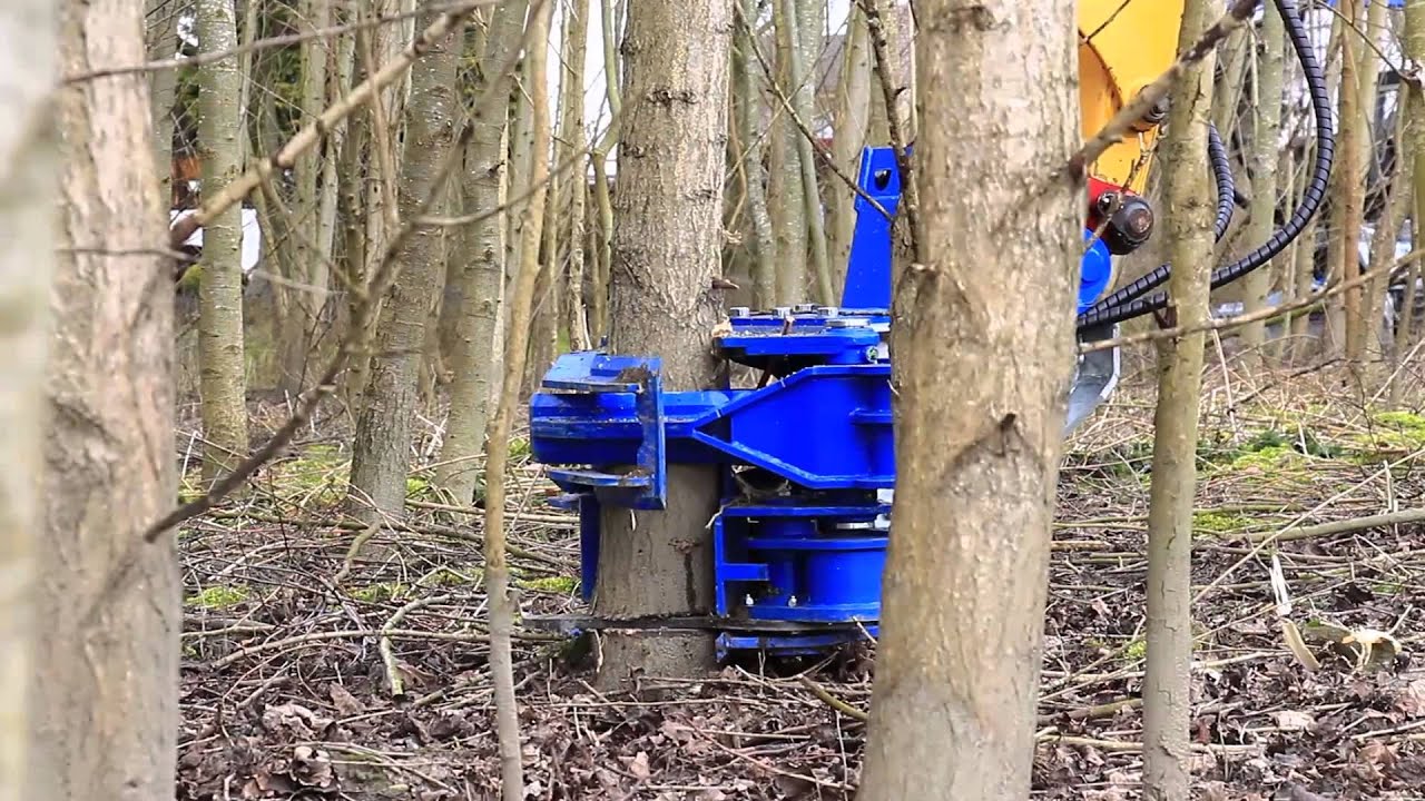 Binderberger F&auml;llgreifer  / Grapple for cutting and loading wood