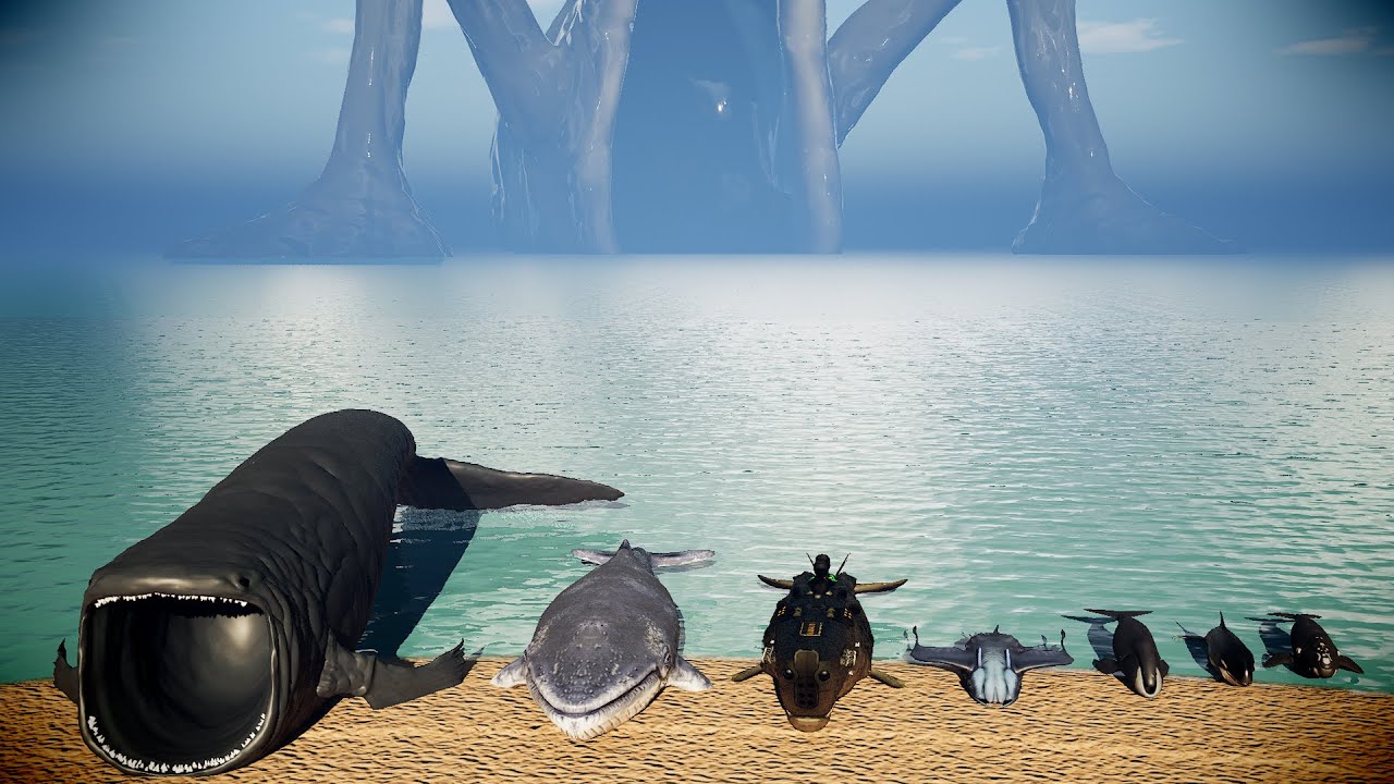 Whale Size Comparison 3D