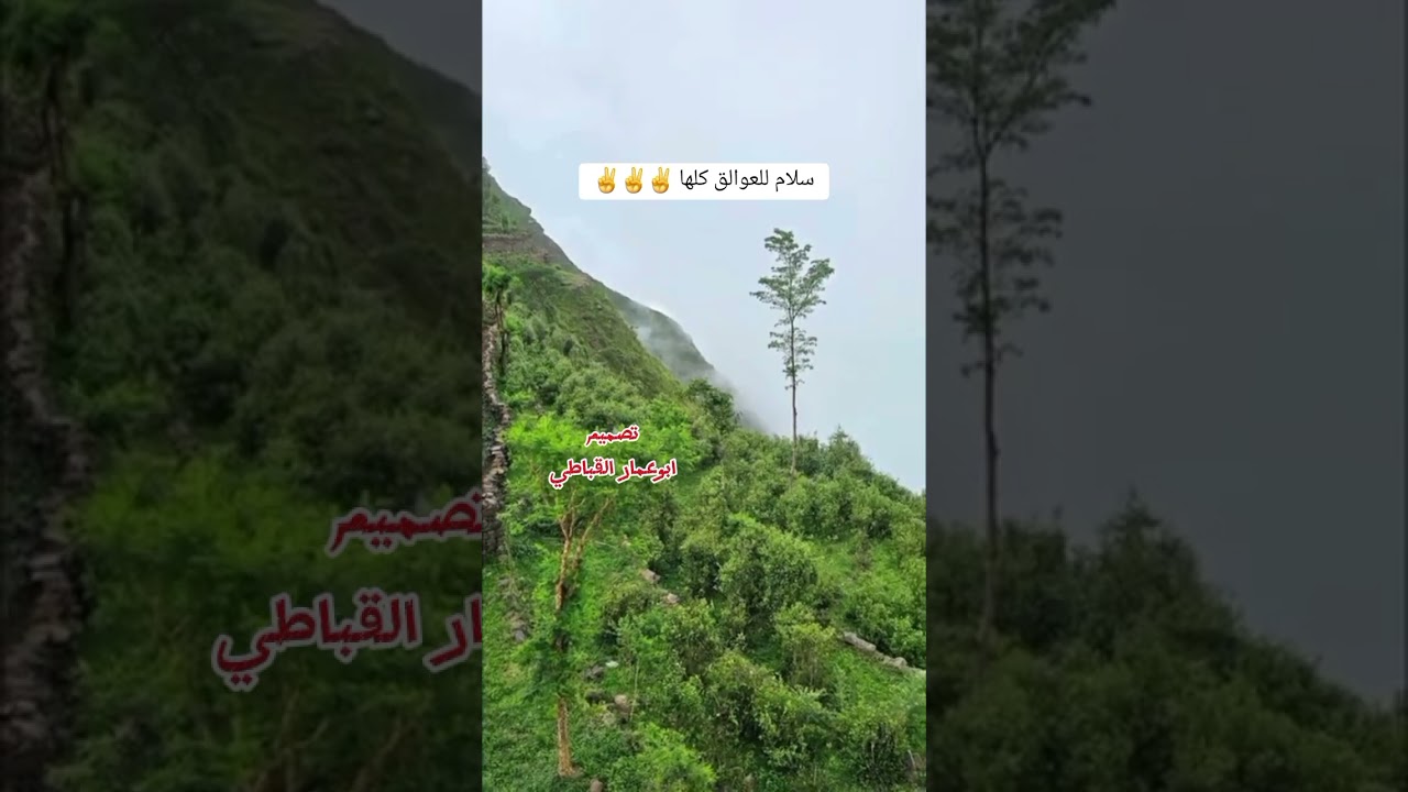 @سلام مني للعوالق  كلها  سليمان العمري