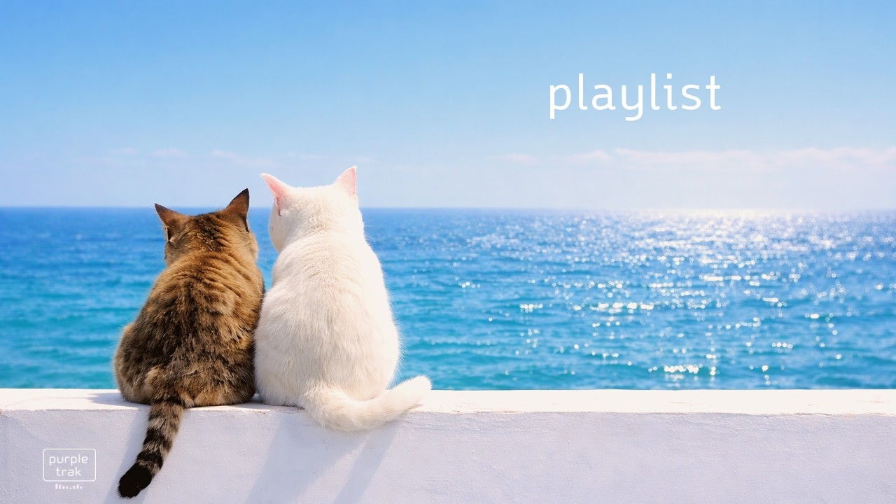 Feel-Good песни на весь день 🎧 | Chill Soft Pop & R&B Playlist