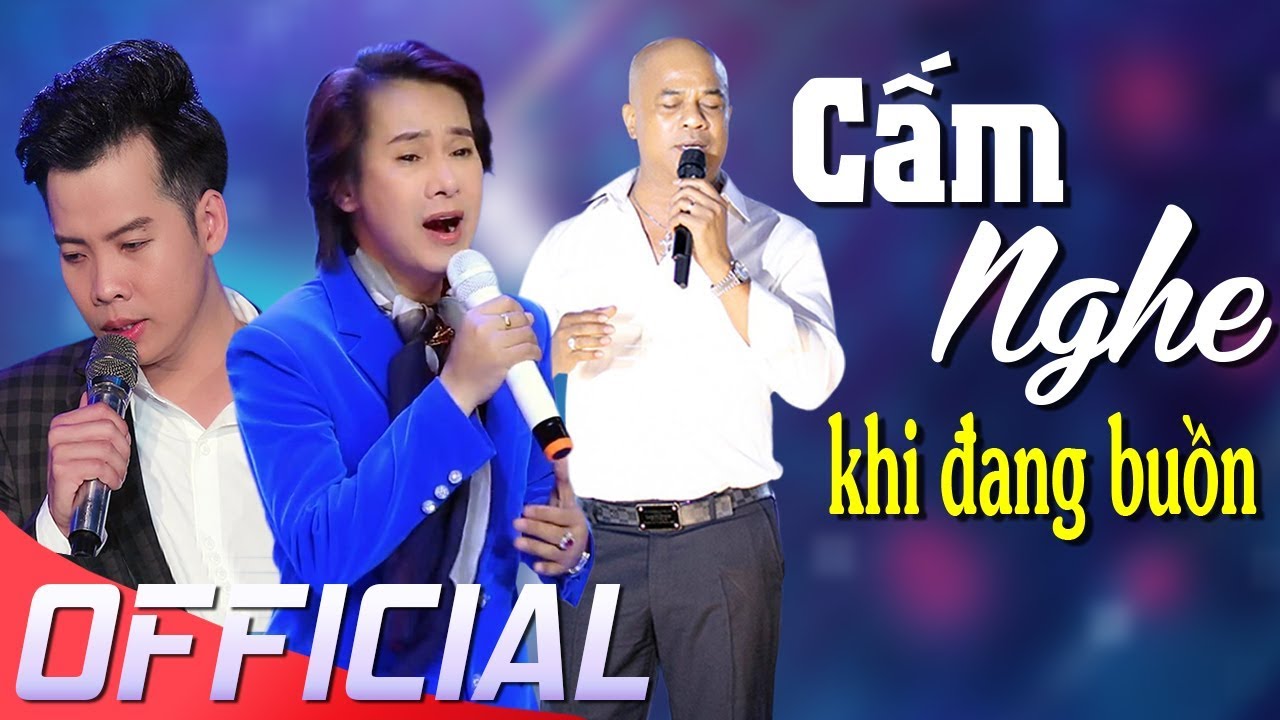 Cấm nghe khi đang buồn || Liên khúc Ngô Quốc Linh, Puol Lê, Randy, Lưu Ánh Loan