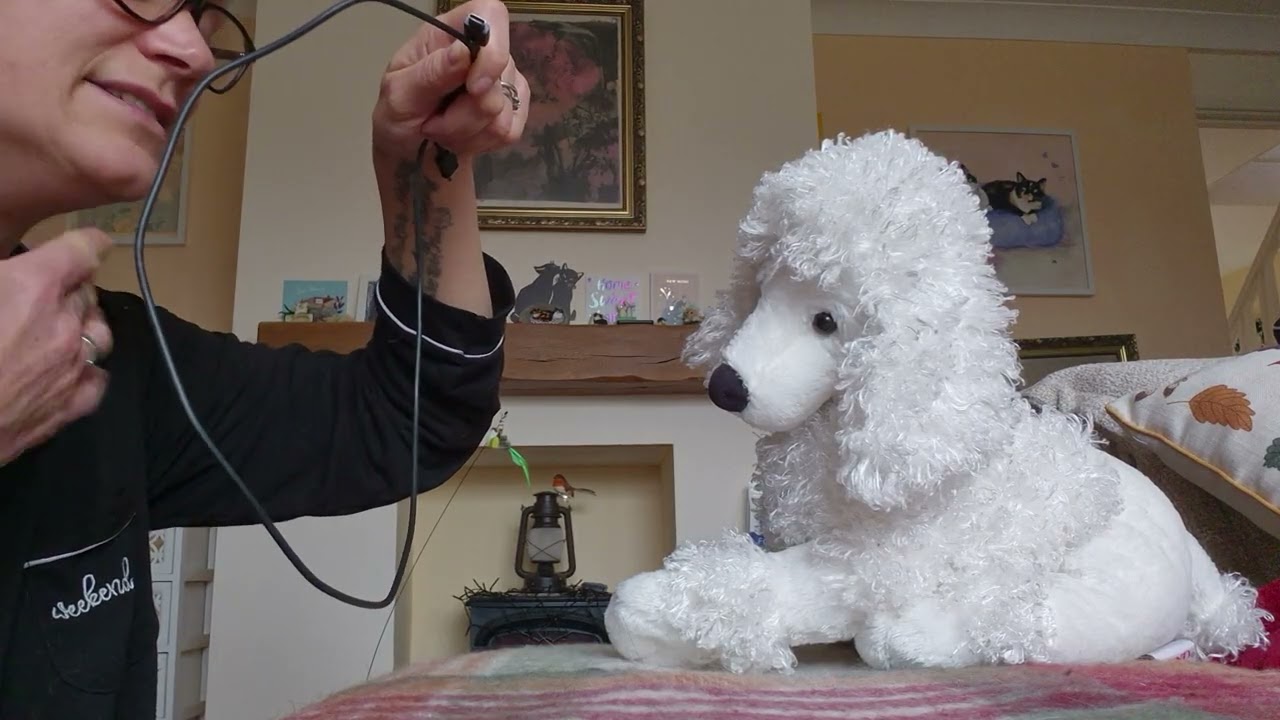 Cooperative Harness Training for Nata - option 1 