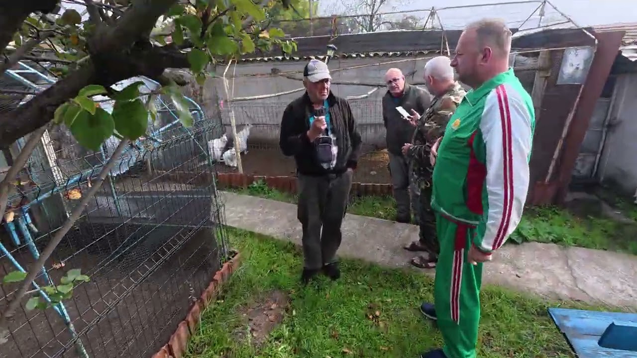 Бяло кенгуру и Пауни при Христо Чолаков - Бориславци Ивайловград България  White Kangaroo and Peacoc