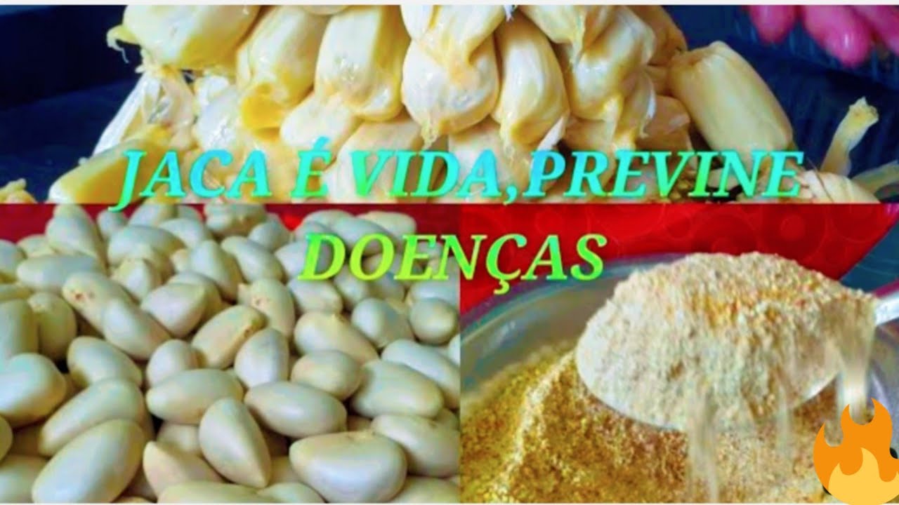 Como Fazer Farinha Do Caroço Da Jaca Assado,E Mais 10 Benefícios Que Ele Traz pra Nossa Saúde!!!