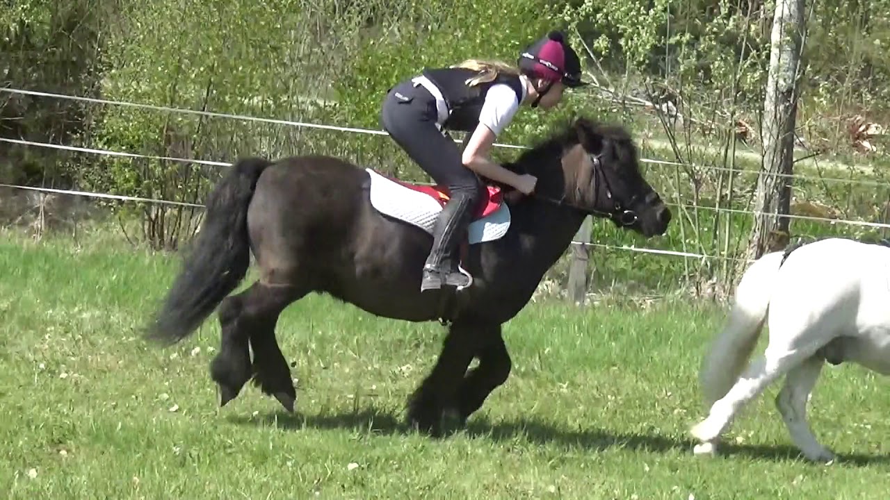 Ponnygalopp träning Lilla Rörby Ryttarklubb 12 maj 2018