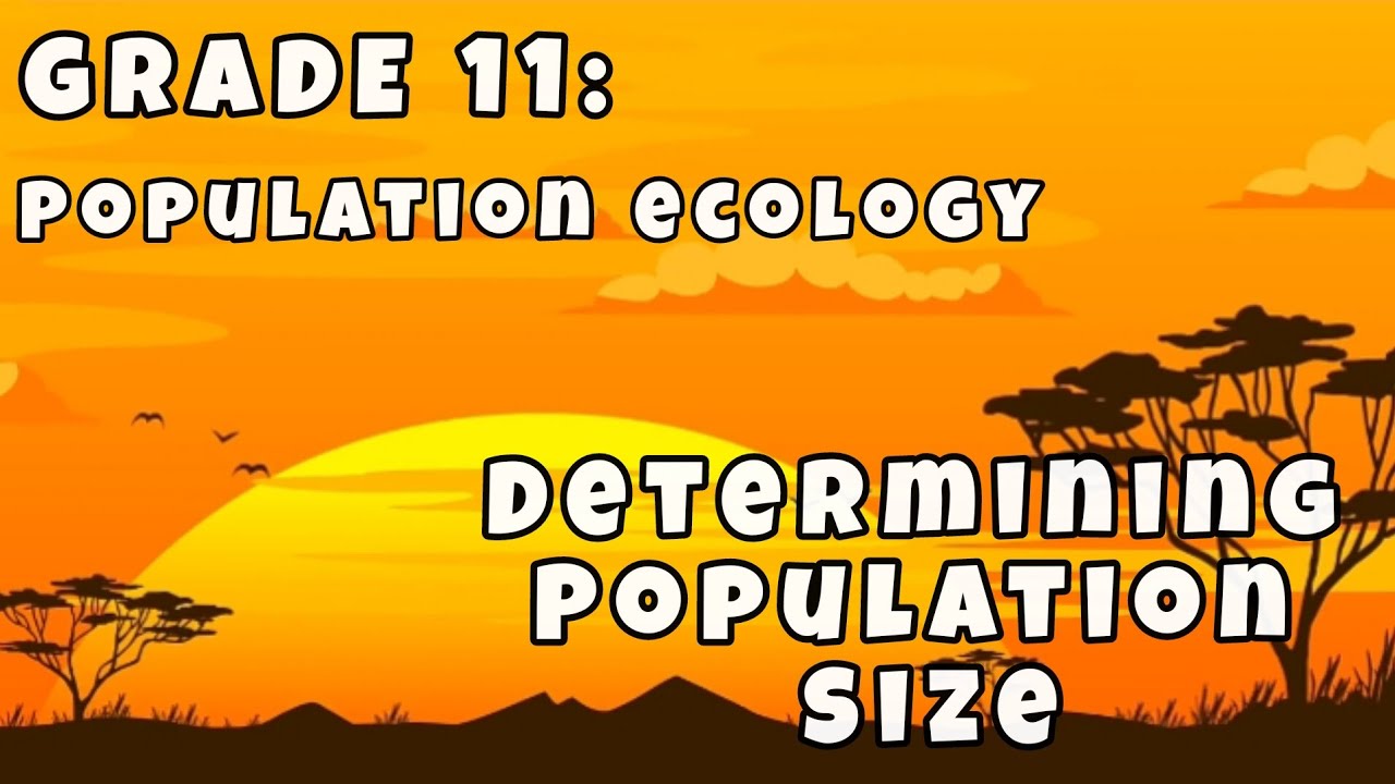 GRADE 11: DETERMINING POPULATION SIZE