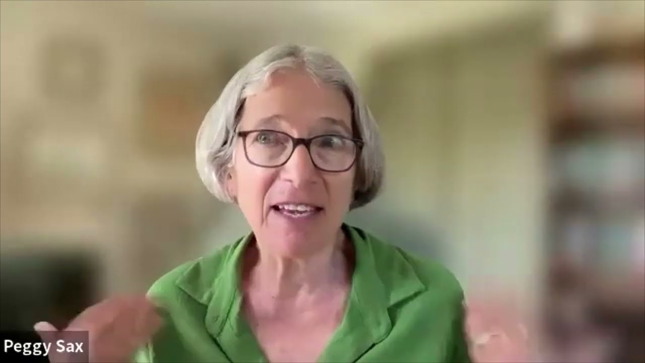 A Collaborative Approach to Therapeutic Conversations