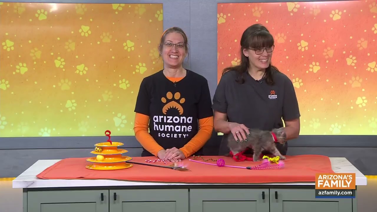 Pets on Parade (Full Episode) January 31, 2026