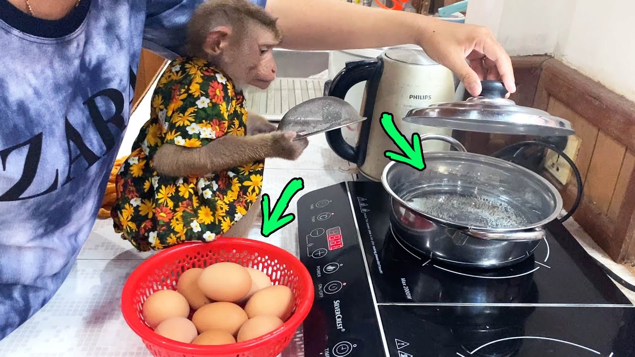 Sweet Judee Helps Mom BoiIing Eggs For Dinner