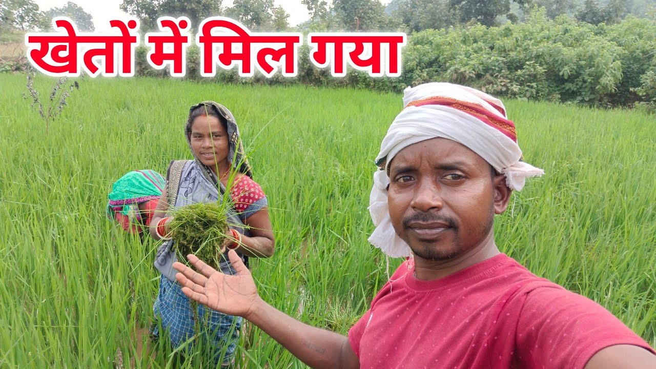 खेतों में मिल गया # rameshrajvlog #daily vlog