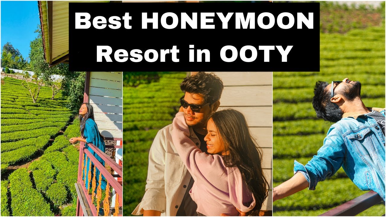 Best Budget Honeymoon Resort in OOTY | With Amazing view of Tea gardens 🌸❤️