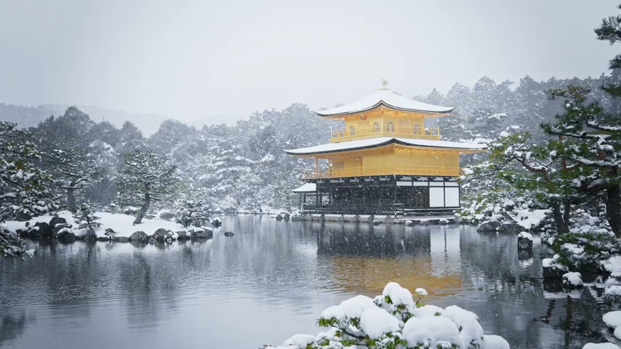 A Lake That Breathes in Winter | Soothing Rain & Falling Snow