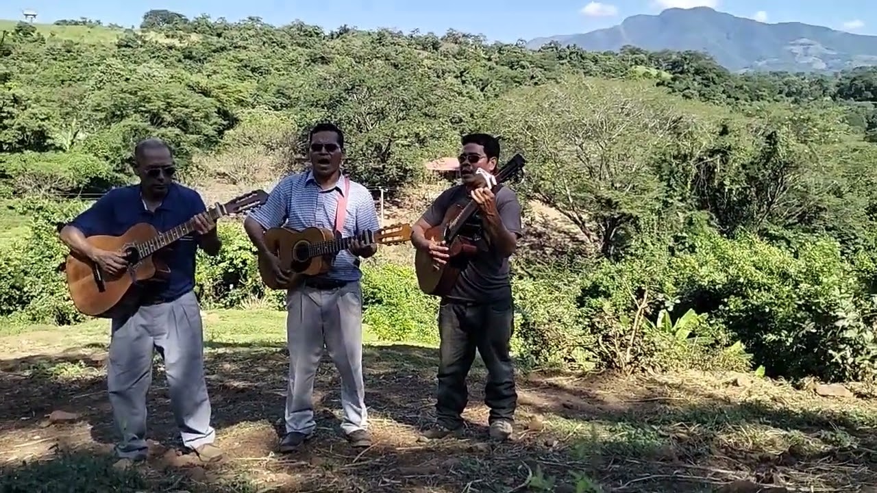 El Ciego Bartimeo