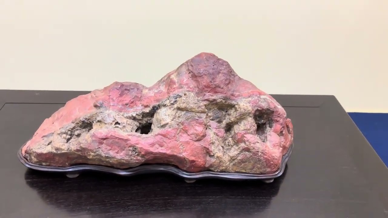 第44回　日本盆栽大観展