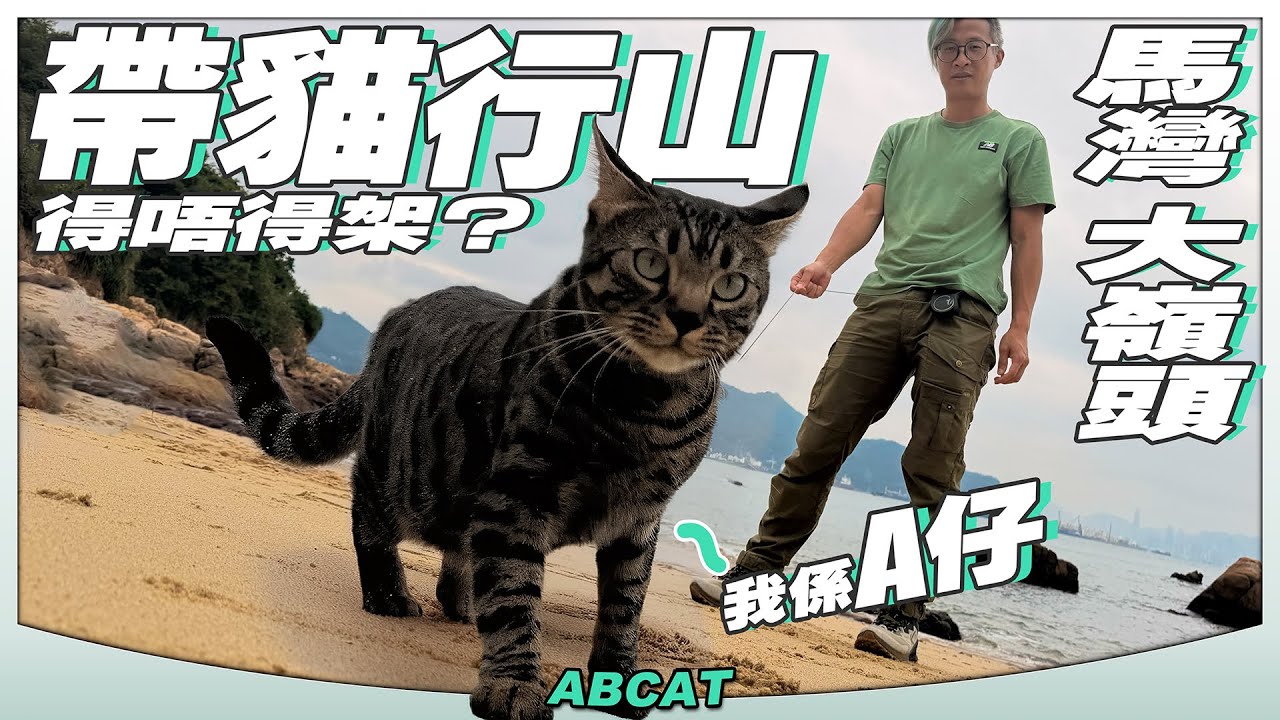 🐈帶貓行山得唔得架？『馬灣  大嶺頭』我係A仔🐱｜[4K] Hiking Vlog＃145 TAI LENG TAU MA WAN