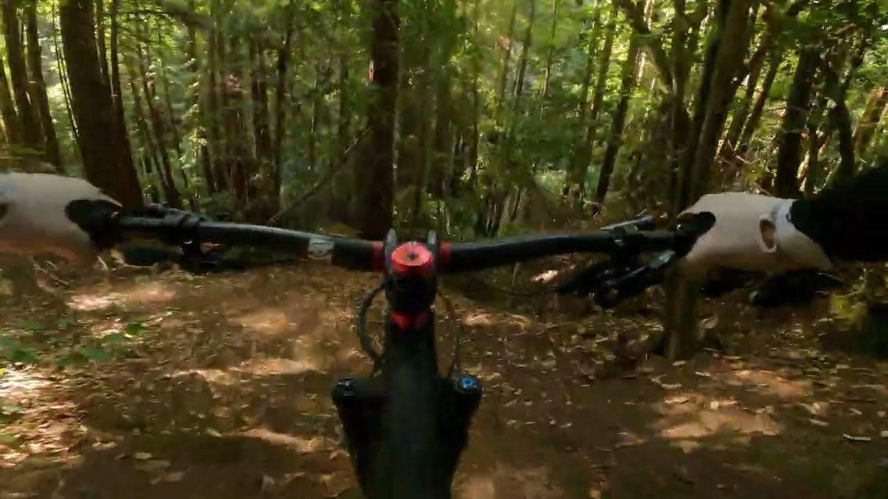 [Aptos, CA] Nisene Marks MTB - Extra Donut  | Steam Donkey | Rolla Coaster