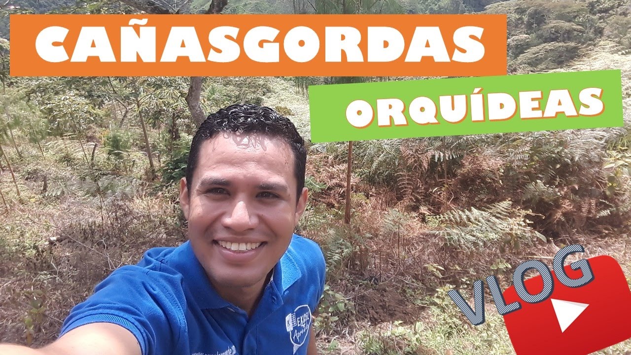 Fin de semana en Cañasgordas, ver orquídeas | VLOG Julio C. Rendón