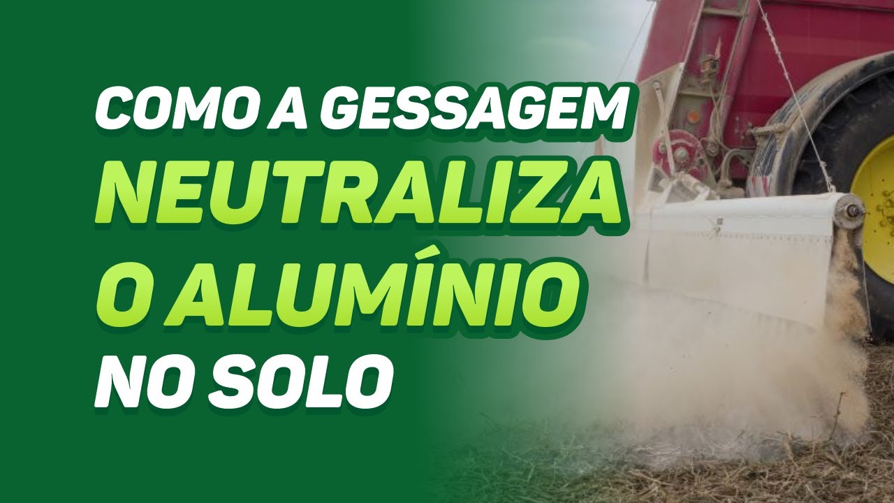 COMO A GESSAGEM NEUTRALIZA O ALUMÍNIO NO SOLO