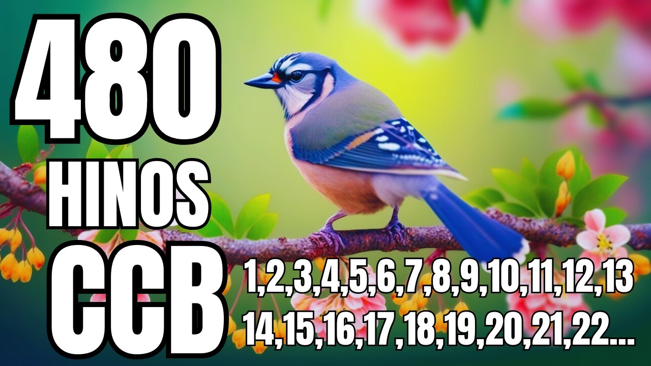 480 HINOS CCB CANTADOS- 16/02/2026- 1,2,3,4,5,6,7,8,9,10,11,12,13,14,15,16,17,18,19,20,21,22,23,24..