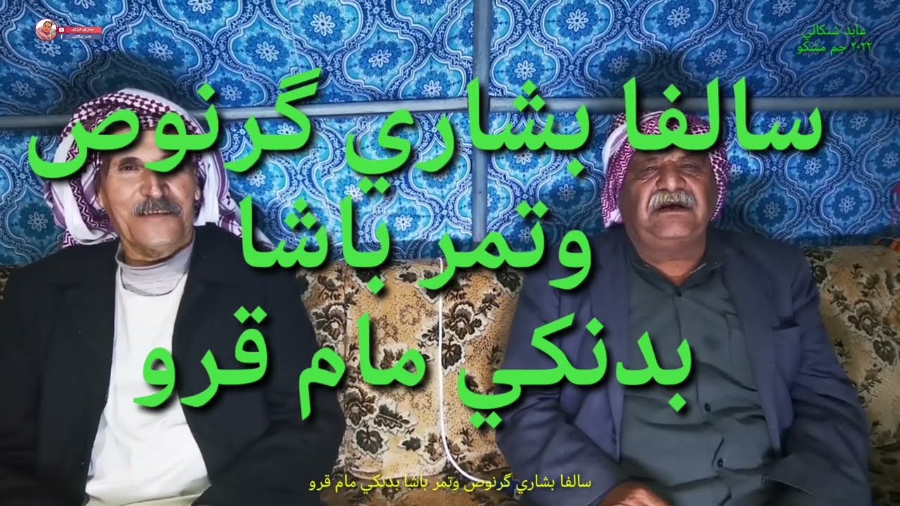 سالفا #بشاري#گرنوص و#تمر_باشابدنكي #مام_قرو