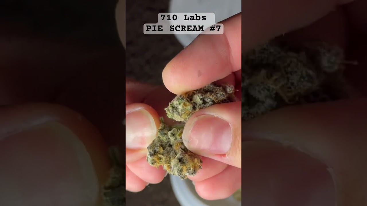 STRONGEST CANNABIS FLOWER ? | 710 Labs Exotic ONLY