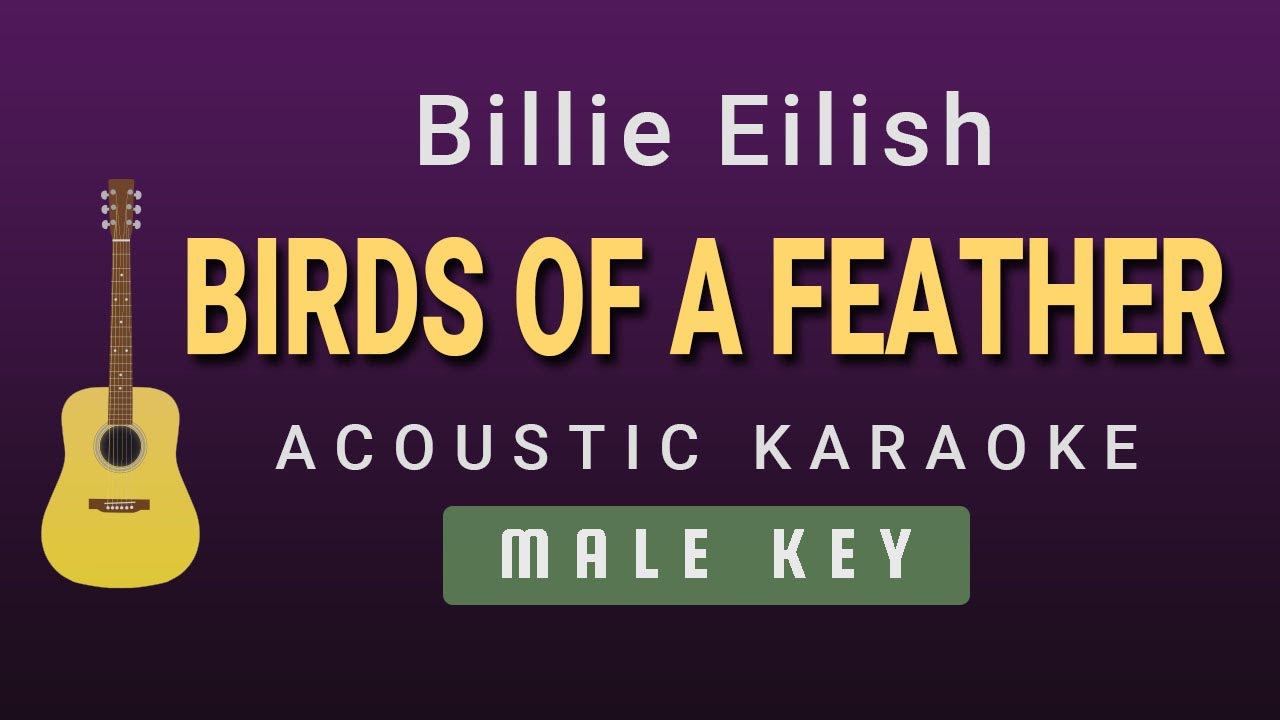 BIRDS OF A FEATHER - Billie Eilish (Male Acoustic Karaoke)