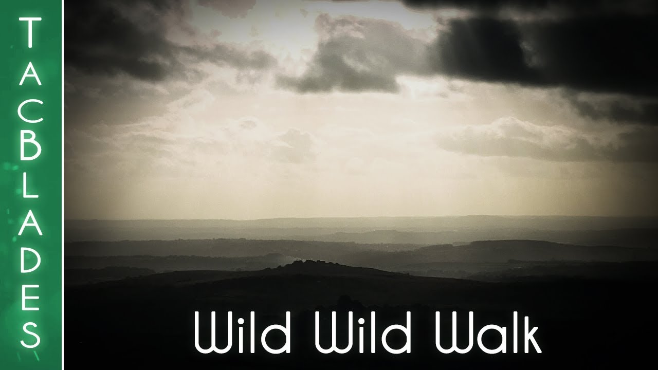 Wild Wild Walk - Dartmoor