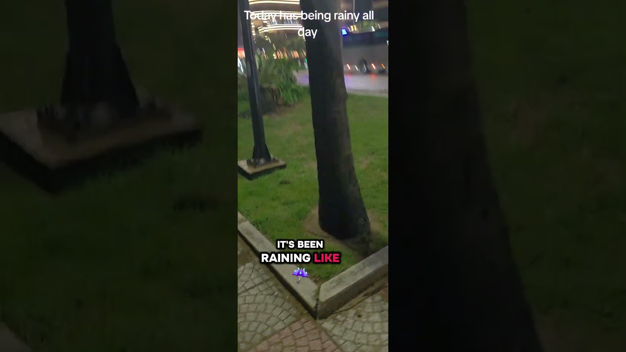 Today has being rainy all day#raining #windy #viralvideo #vietnam #danang