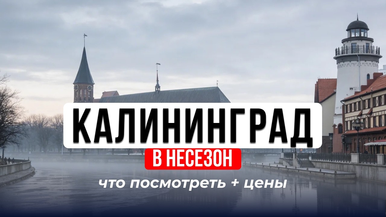 Калининград 2026: секретные места и популярные локации. Чем заняться зимой?