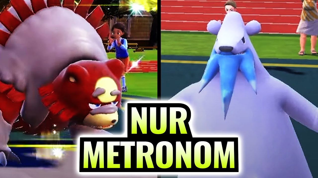 Bären-Pokémon, aber jede Attacke ist ZUFÄLLIG!