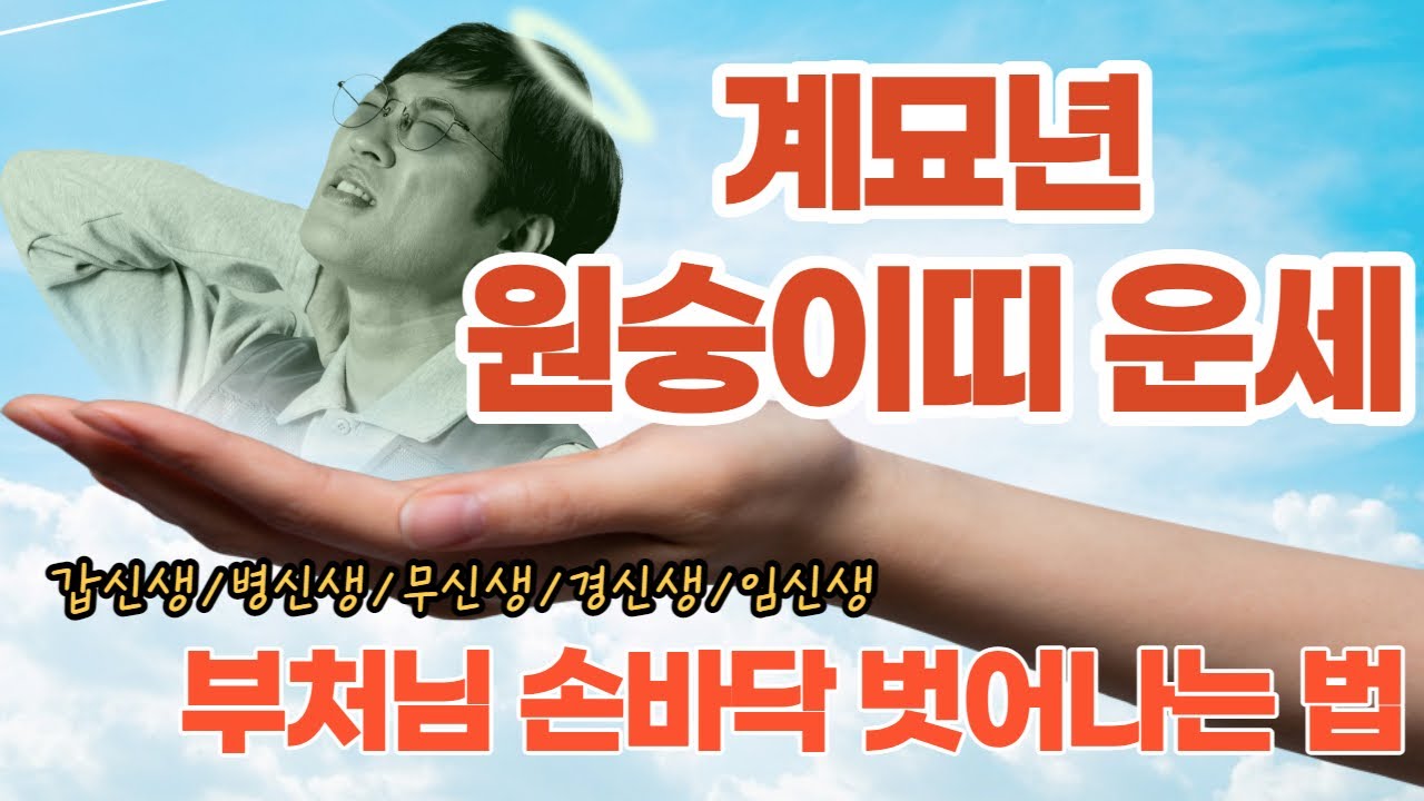 2023년 계묘년 원숭이띠운세-부처님손바닥안 탈출법 (갑신생,병신생,무신생,경신생,임신생)잔나비띠