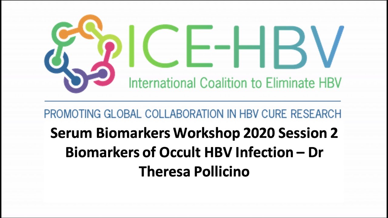 ICE-HBV Serum Biomarkers Workshop - Biomarkers of Occult HBV infection